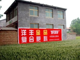 兰考如何让墙体广告展现最大化效果