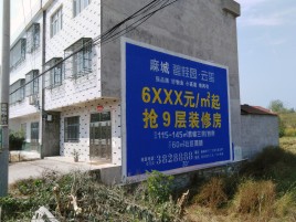 兰考墙体广告质量分析