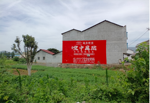兰考做墙体广告的意义