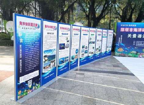 兰考KT板的种类和知识。